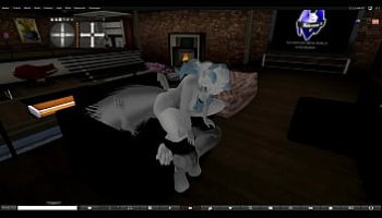 animal an garl xx video
