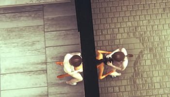 sexy new porn stars