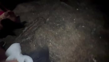 soft porn sex