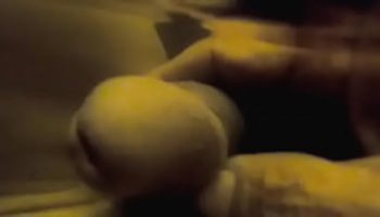 wwe john cena fuck with nikki bella xxxvideos